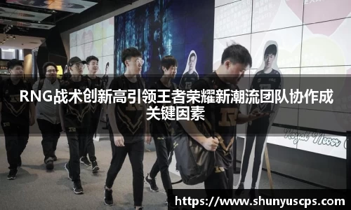 RNG战术创新高引领王者荣耀新潮流团队协作成关键因素